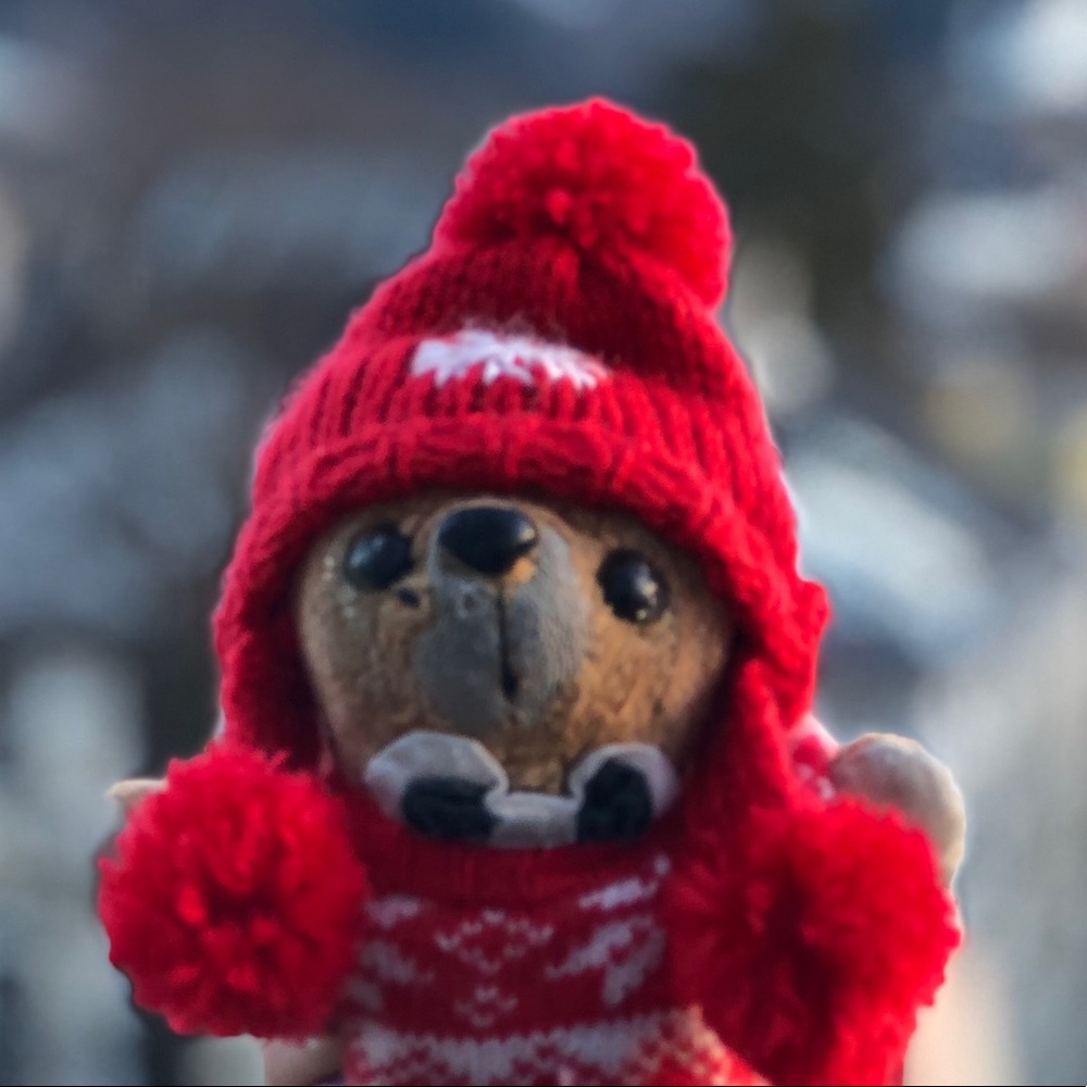 Meet your Posher, Jen